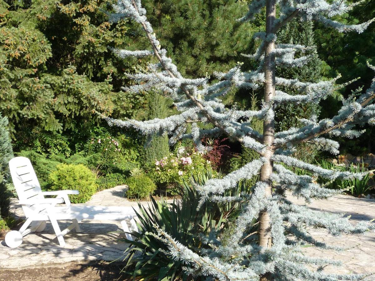 Balaton Art Guesthouse Balatonszemes Bagian luar foto