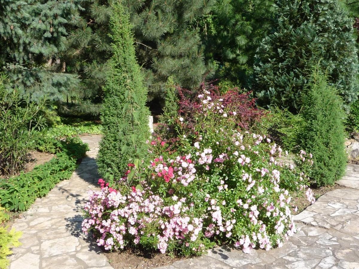 Balaton Art Guesthouse Balatonszemes Bagian luar foto