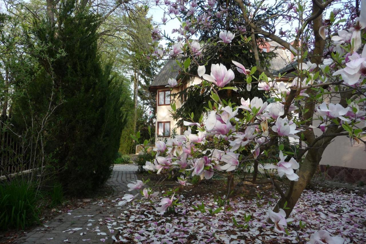 Balaton Art Guesthouse Balatonszemes Bagian luar foto